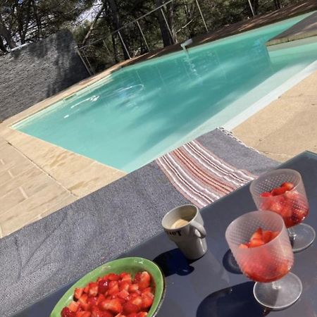 Villa Piscine 6Km De Cassis 12 Couchages 로크포르라베둘 외부 사진